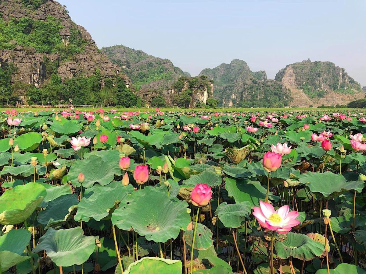 Tam Coc Heart Homestay Ninh Binh Luaran gambar